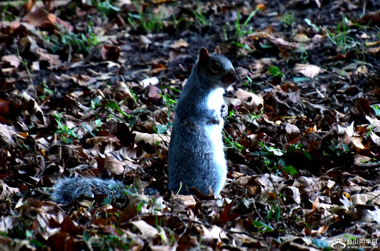 DSC_4259_.jpg