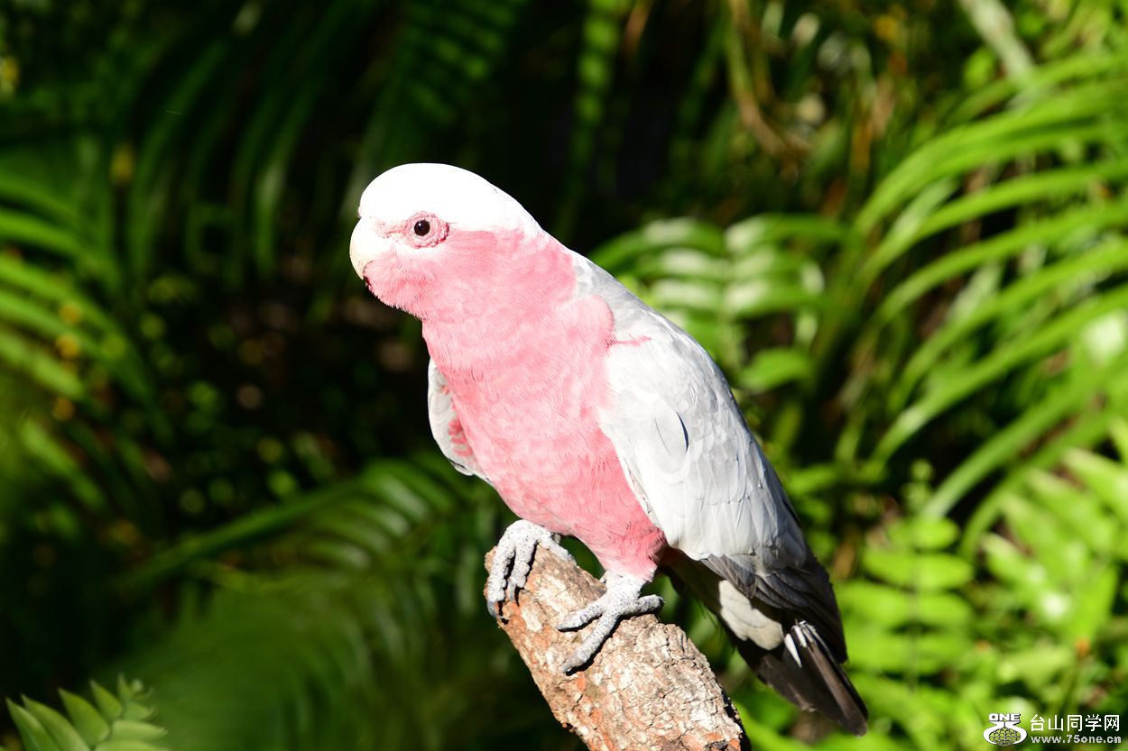 DSC_3552_.jpg