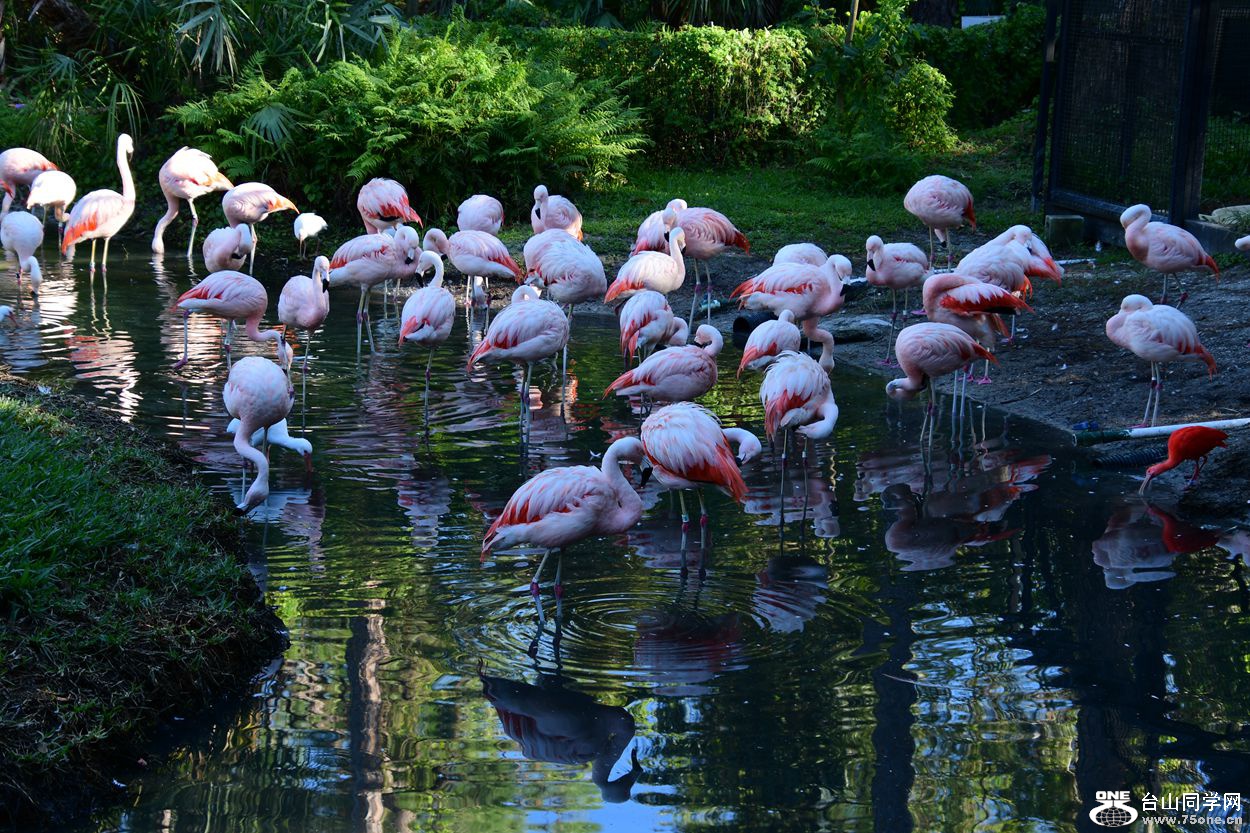 DSC_3569_.jpg