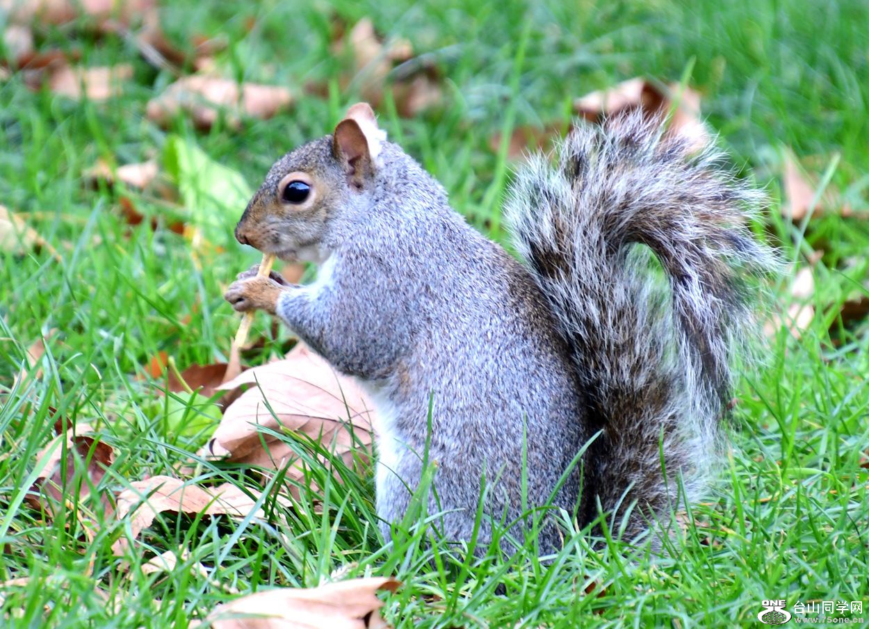 DSC_4260_.jpg