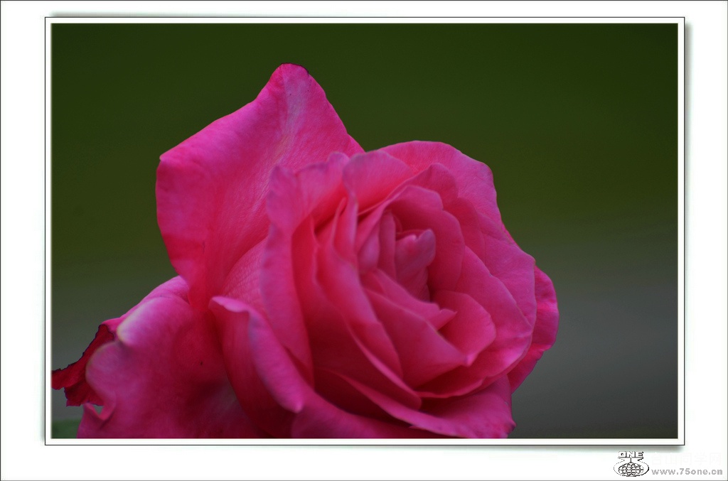 DSC_6602.jpg