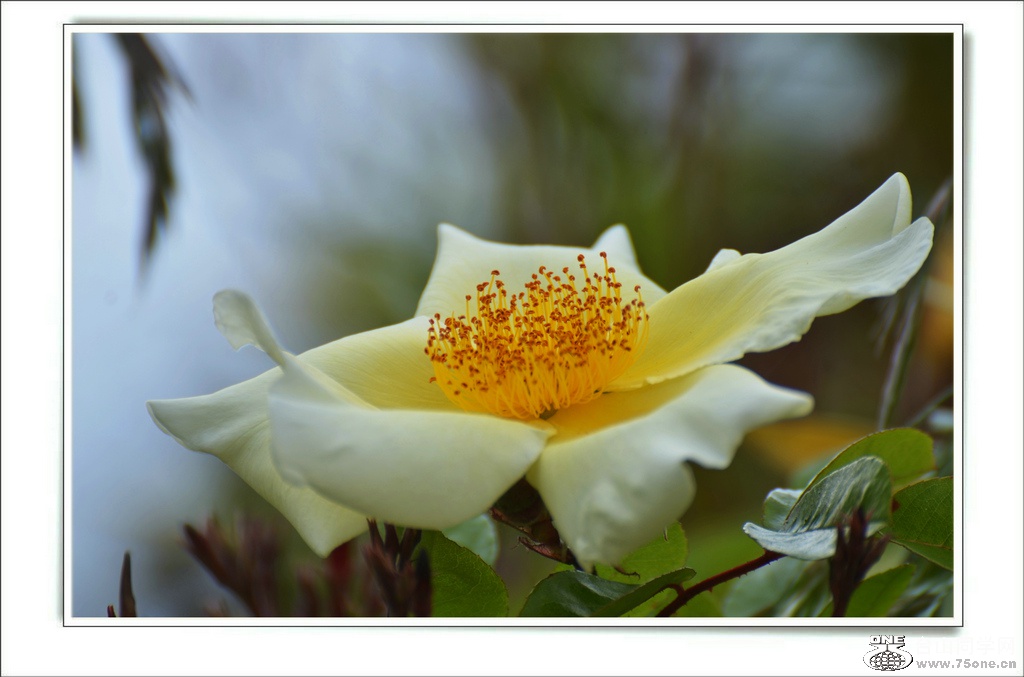 DSC_6771.jpg