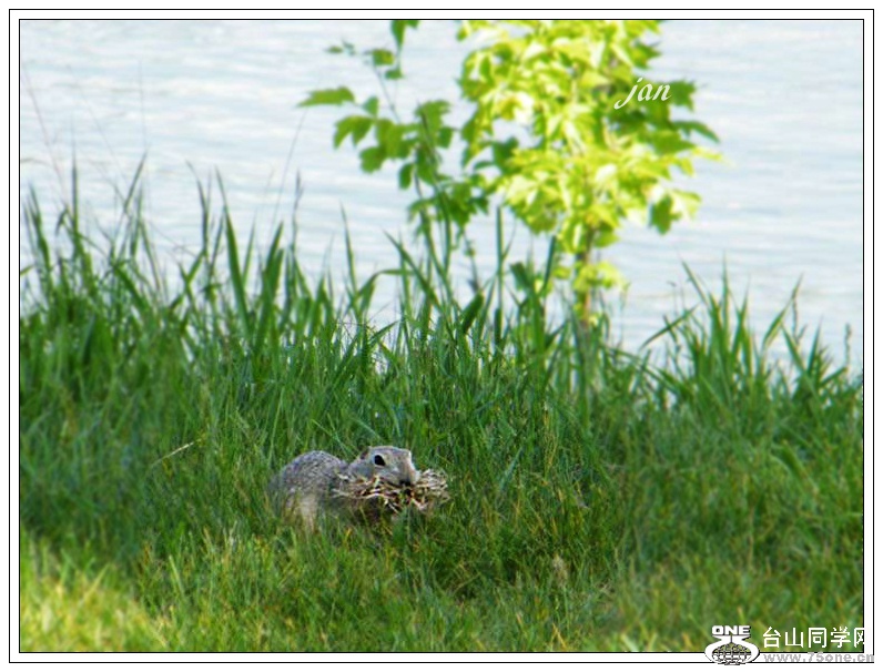 DSCF9985.jpg