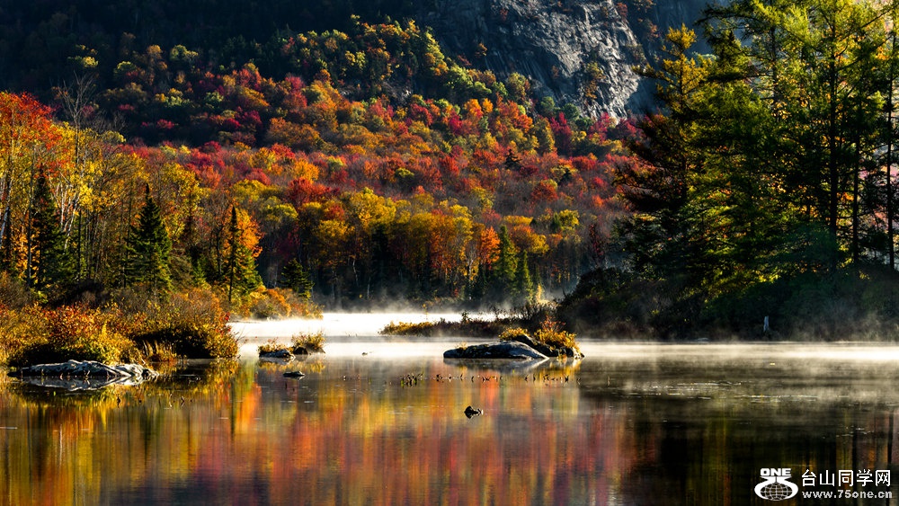 DSC_9554_.jpg