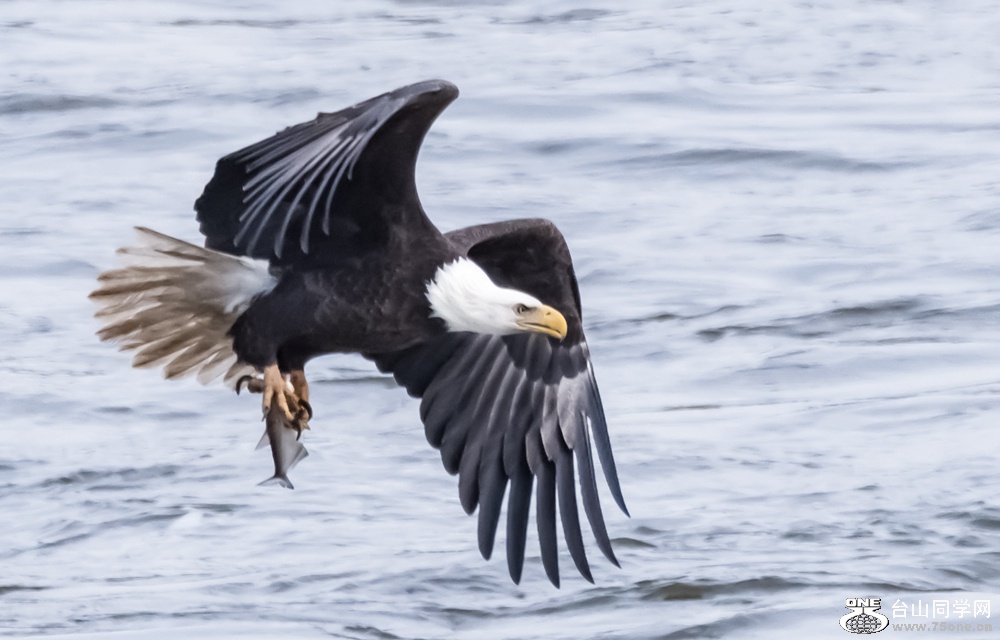 DSC_035822.jpg