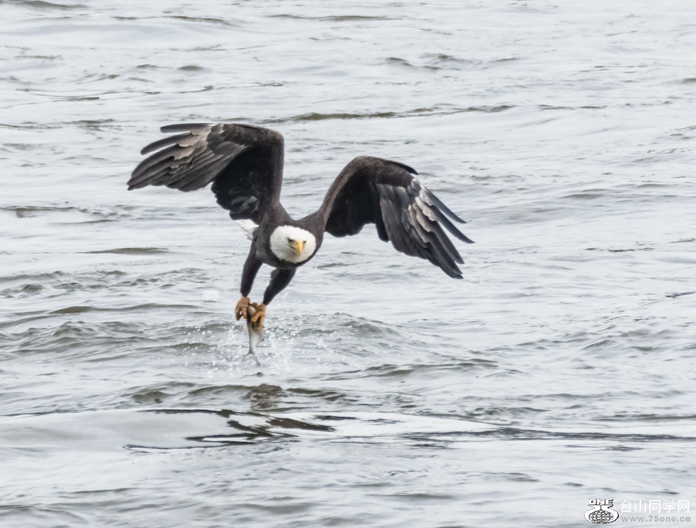 DSC_0353222_.jpg