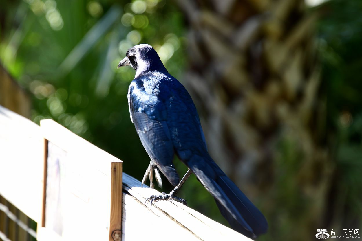 DSC_3491_.jpg