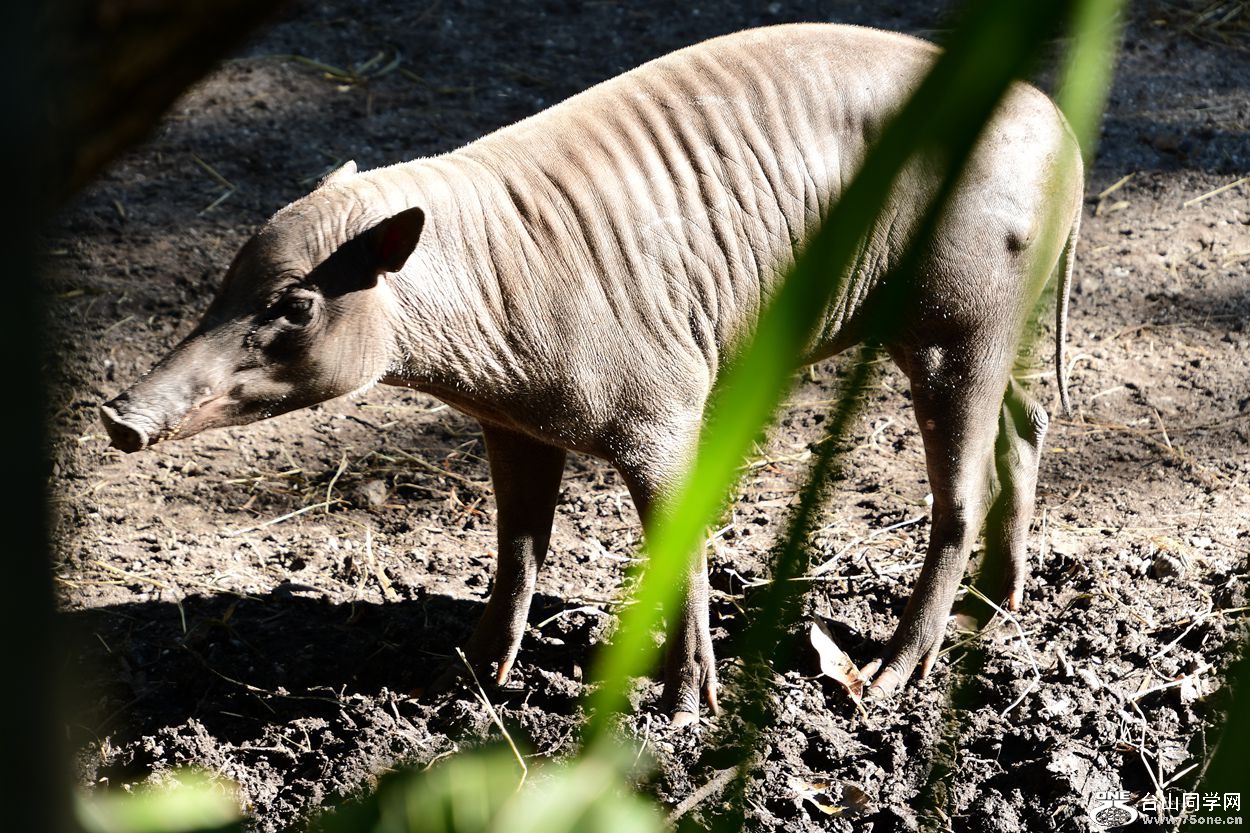 DSC_3502_.jpg