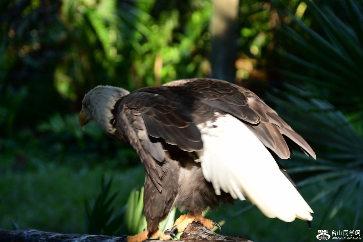 DSC_3574_.jpg
