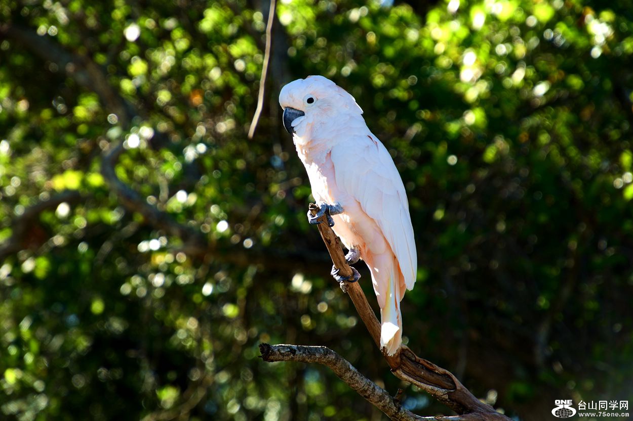 DSC_3514_.jpg