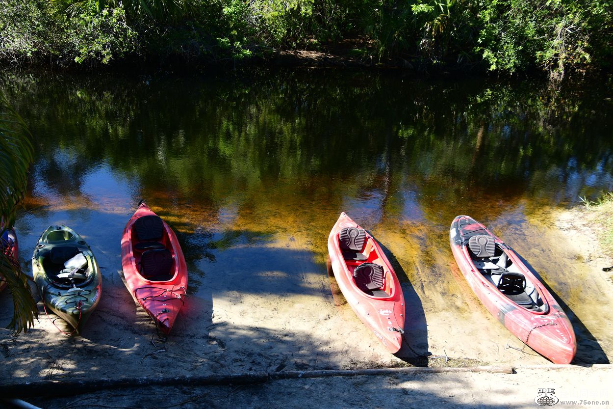 DSC_3421_.jpg
