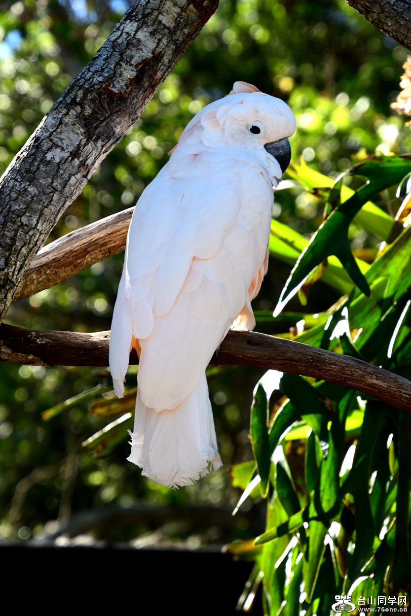 DSC_3507_.jpg