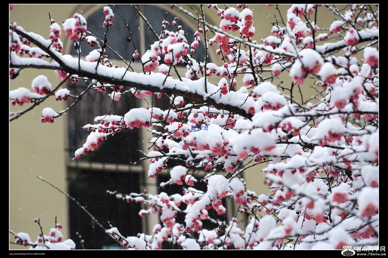 3N9A5816-3 - �}�u.jpg