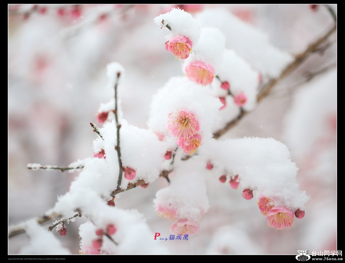 3N9A5796 - �}�u.jpg