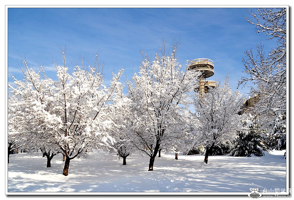 ѩ(2014)-2 100_����.jpg