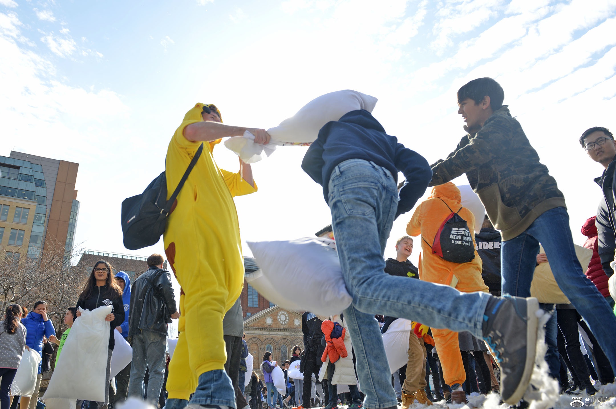 DSC_31646.jpg
