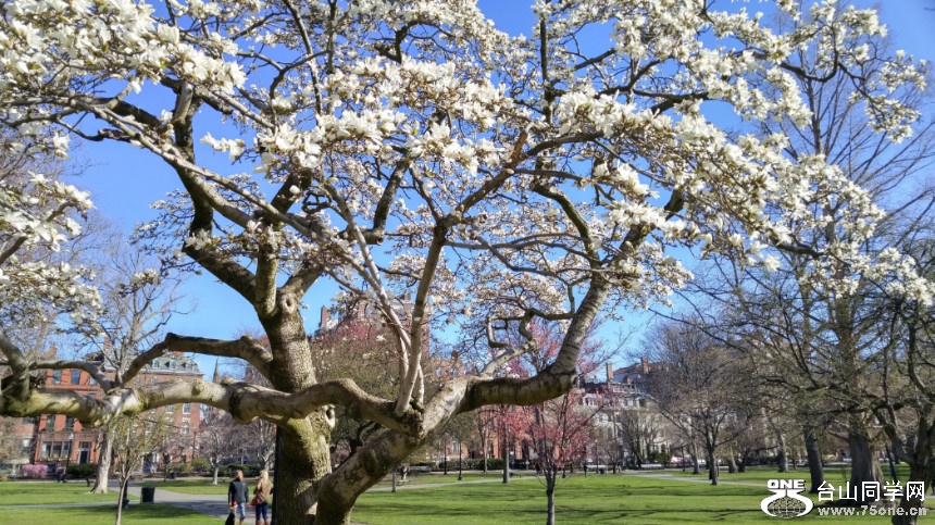 20180422_085421_HDR.jpg