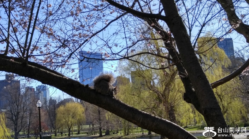 20180422_084807_HDR.jpg