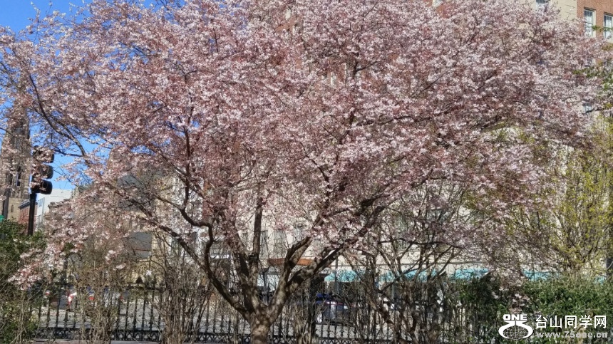 20180422_084718_HDR.jpg