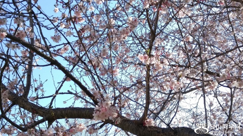 20180422_084757_HDR.jpg