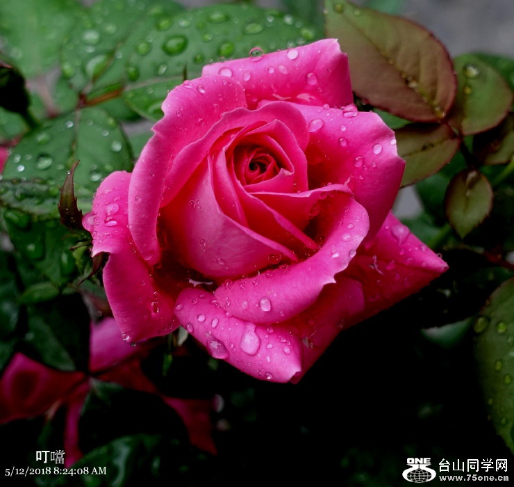 DSC00875b_1.jpg