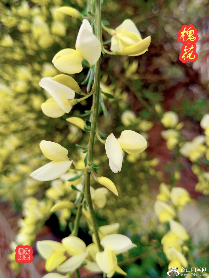 IMG_20180511_175445 (2)_����.jpg