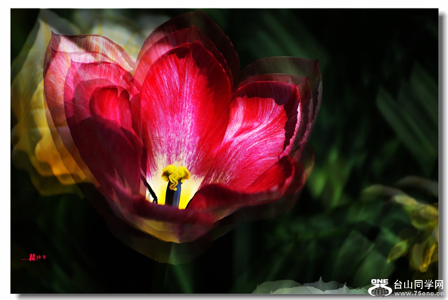 DSC_1116 ����_����.jpg