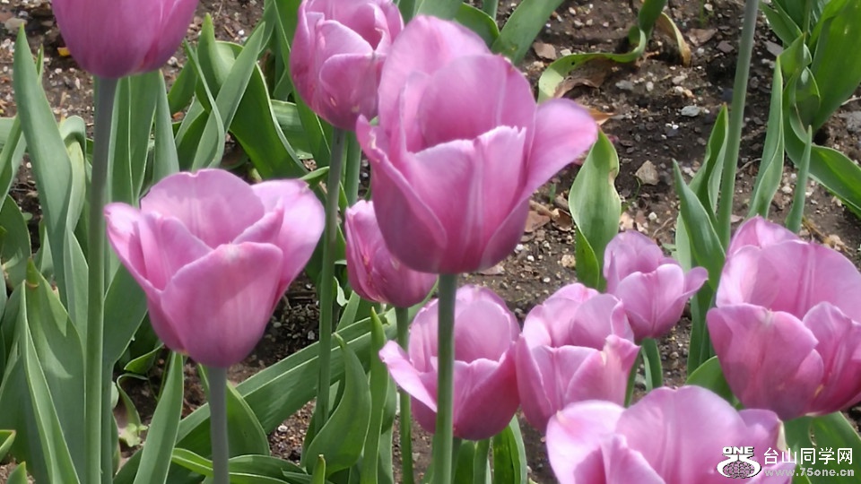 20180507_122847_HDR.jpg