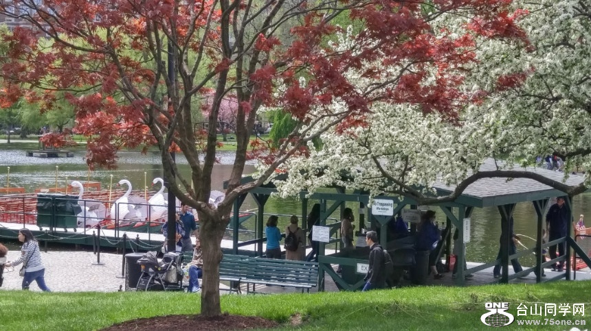 20180507_122437_HDR.jpg