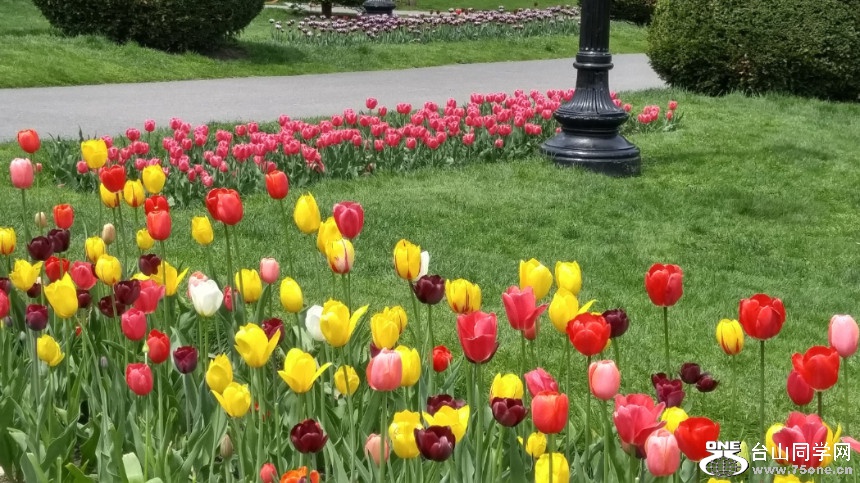 20180507_123137_HDR.jpg