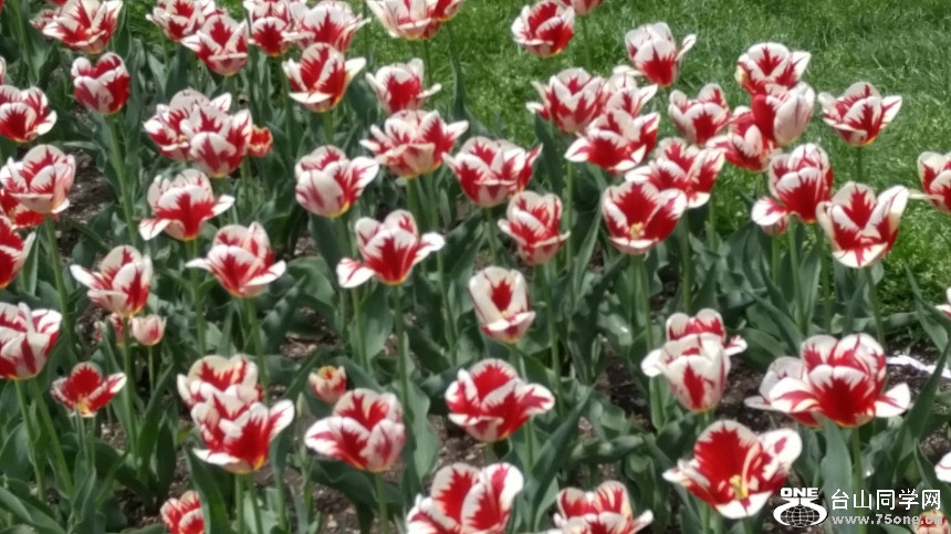 20180507_122804_HDR.jpg