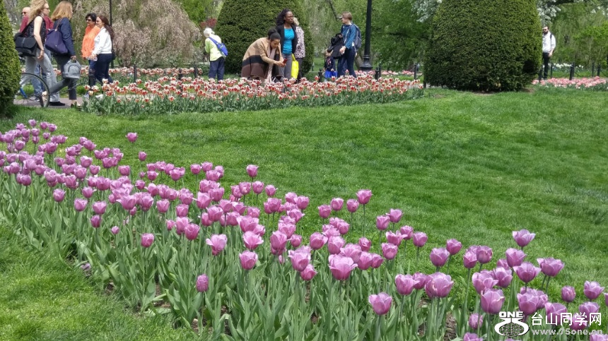 20180507_122912_HDR.jpg