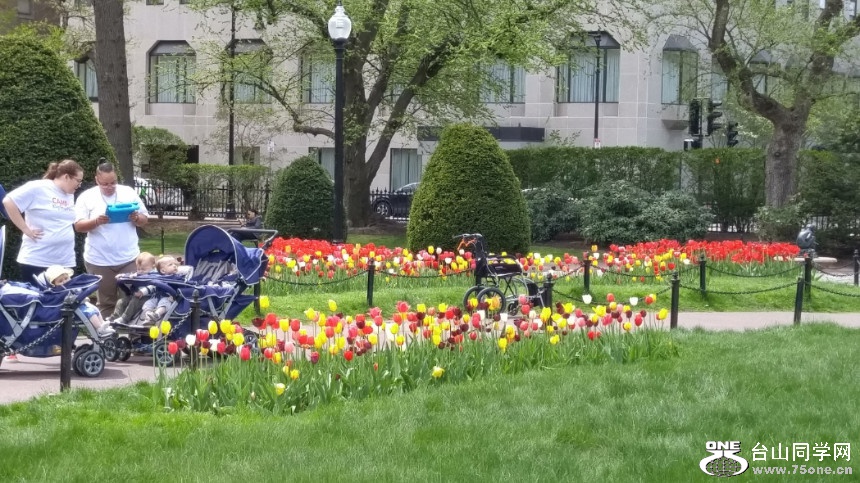 20180507_123057_HDR.jpg