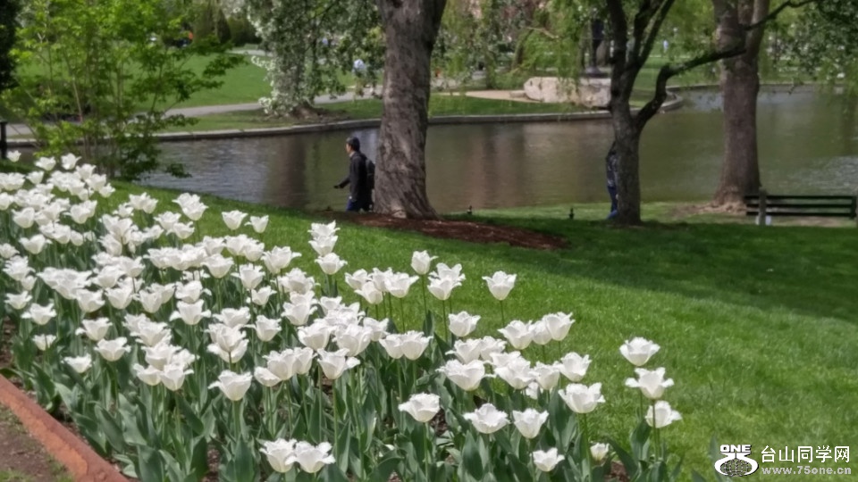 20180507_122411_HDR.jpg