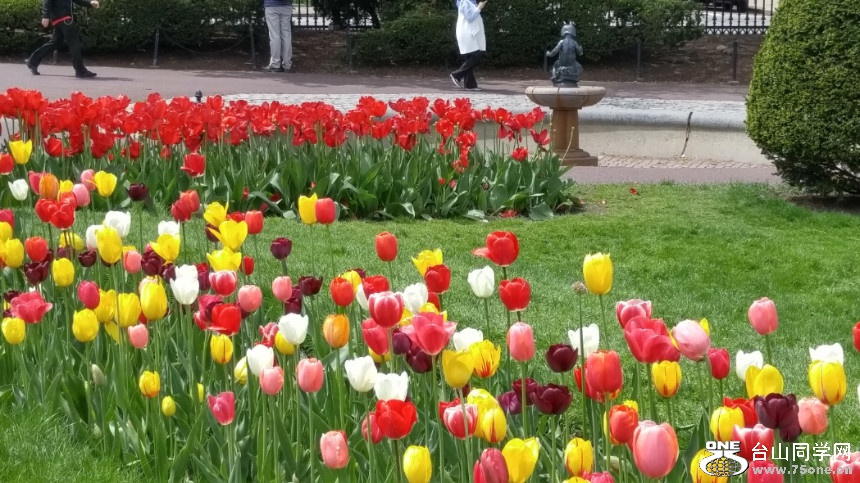 20180507_123157_HDR.jpg