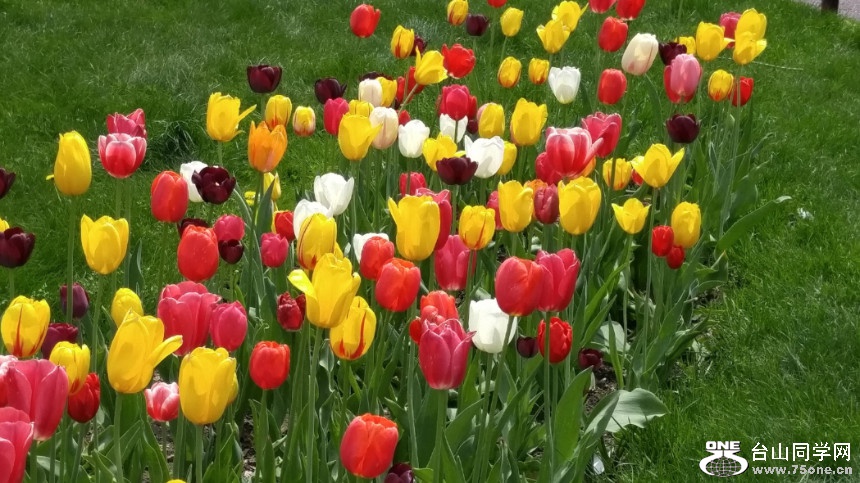 20180507_123224_HDR.jpg