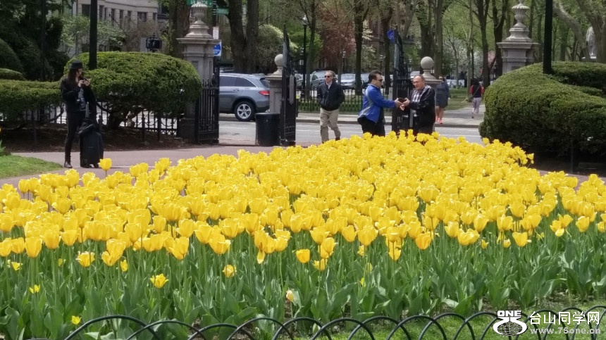 20180507_123216_HDR.jpg