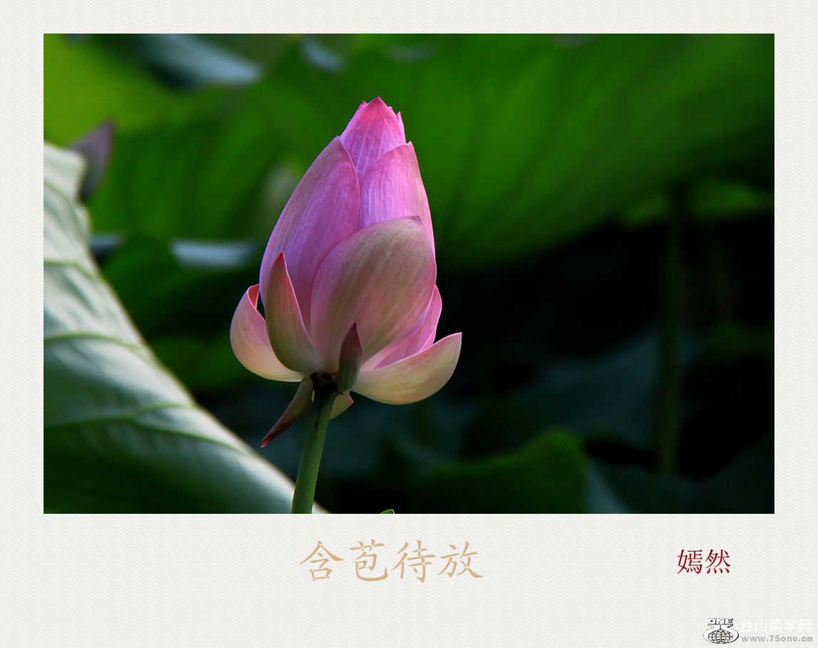 QQͼƬ20180529170722.jpg