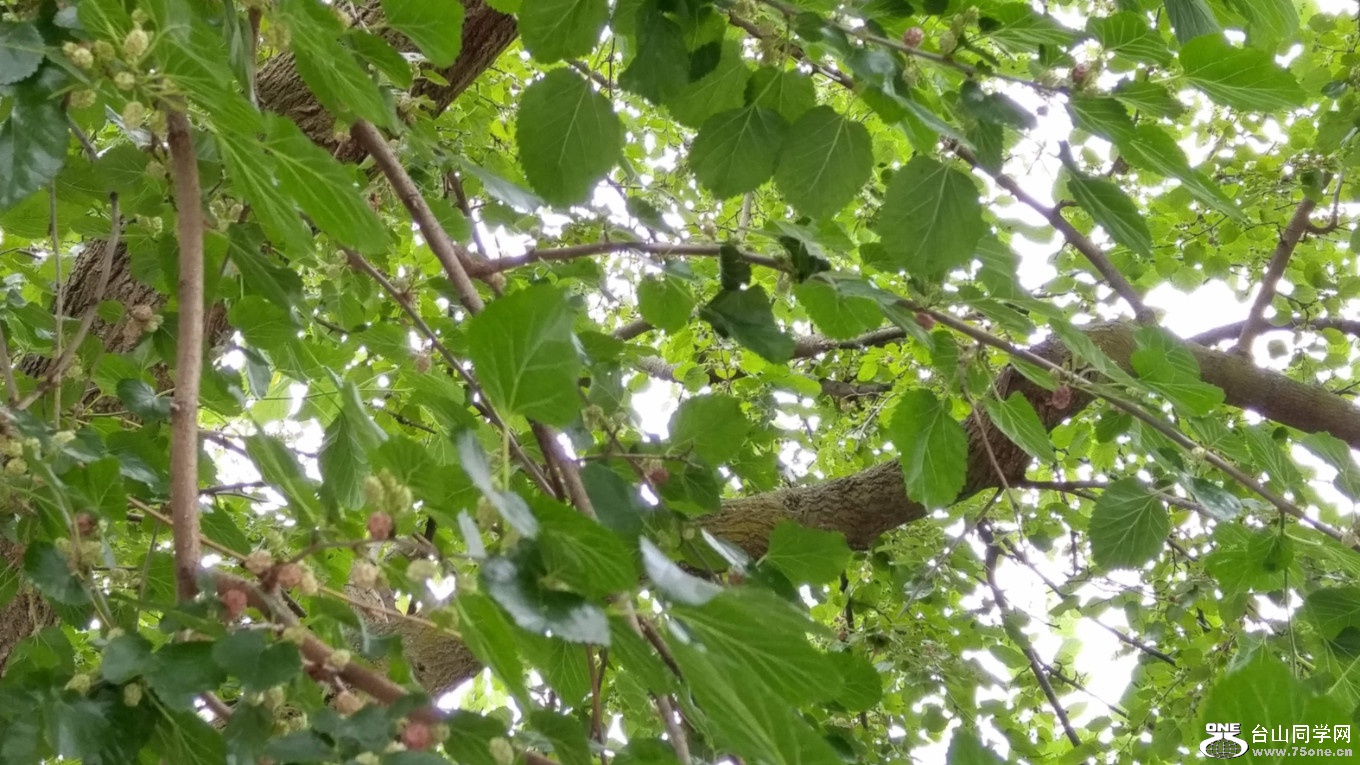 20180627_144944_HDR.jpg