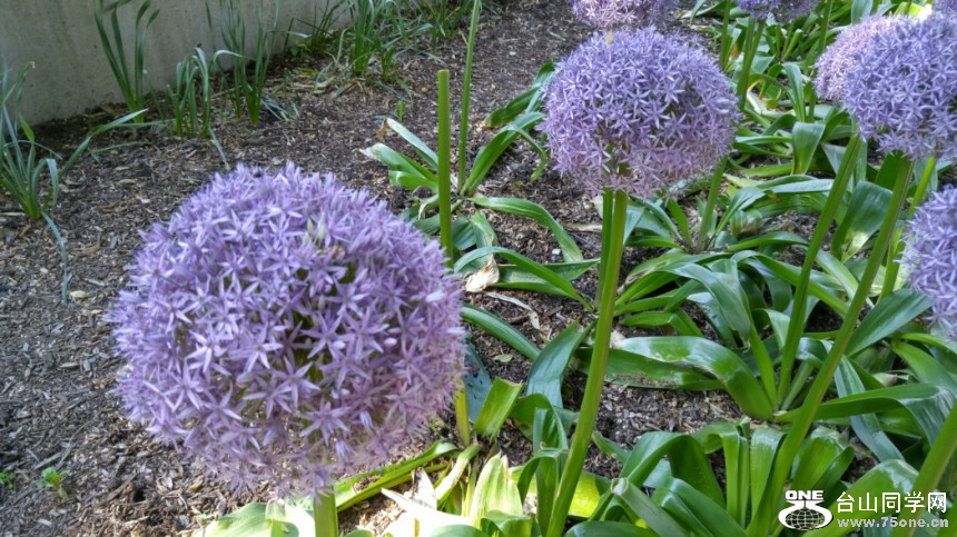 20180529_082814_HDR.jpg