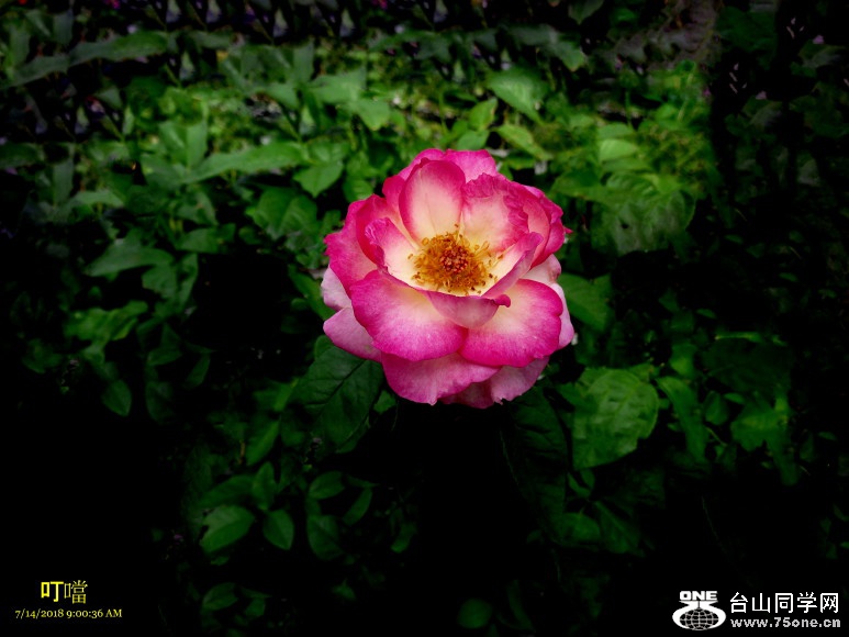 DSC00063_1.JPG