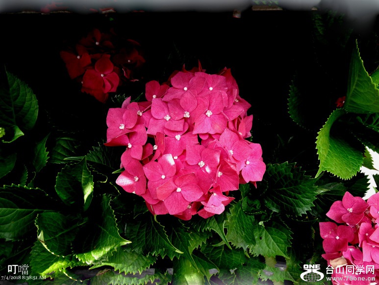 DSC00673a_1.jpg