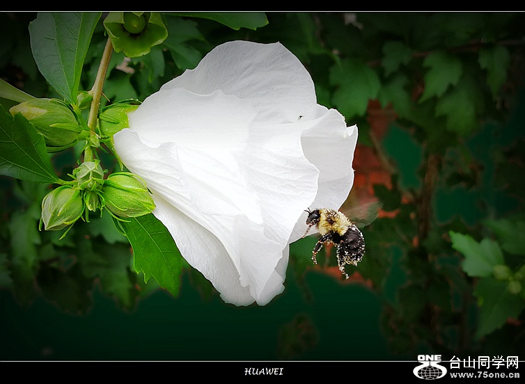 IMG_20180726_103604 (1).jpg