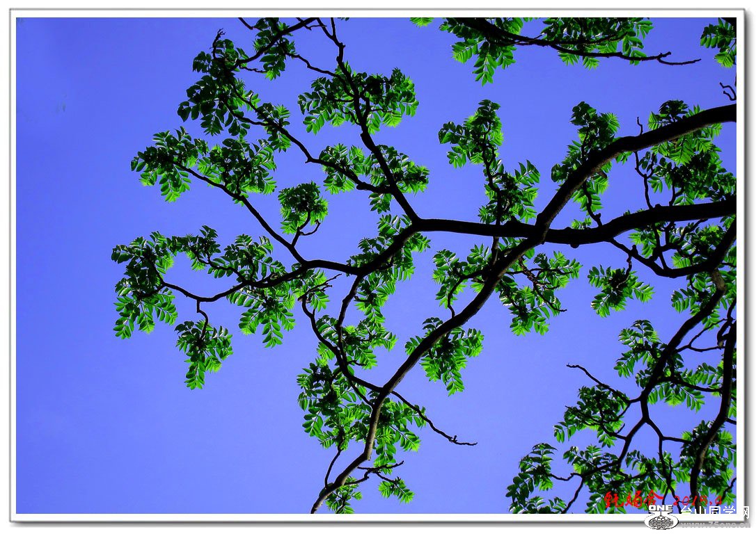 Ұĵ119.jpg