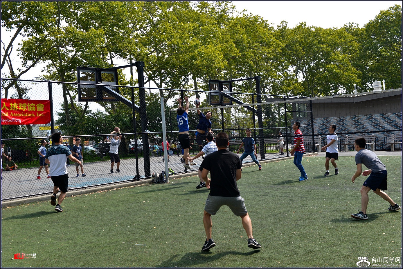 DSC_0799.jpg