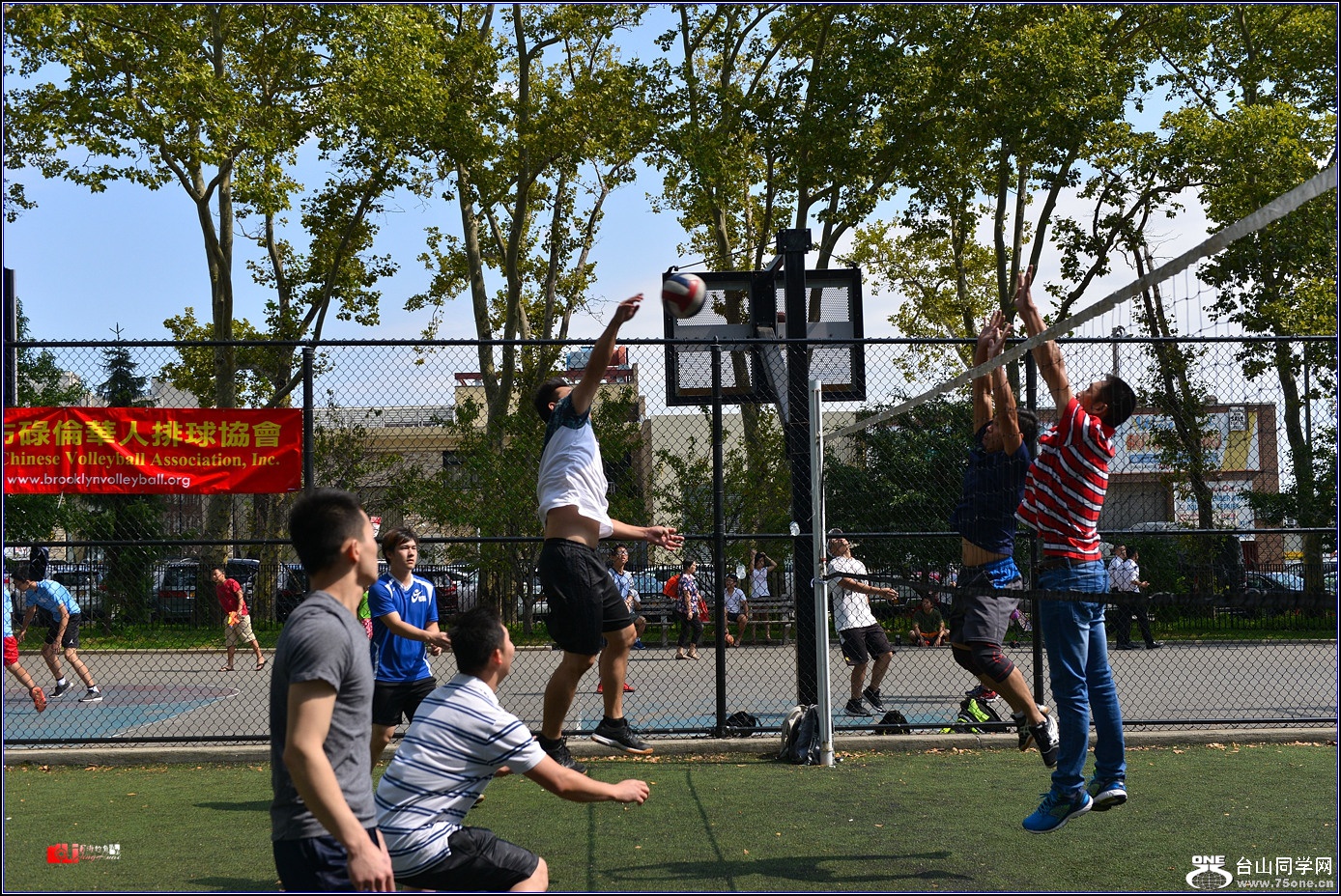 DSC_0804.jpg