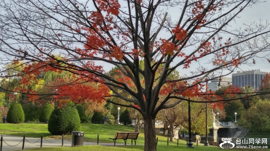 20181023_091427_HDR.jpg