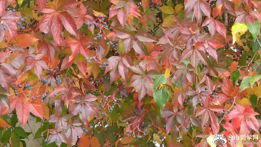 20181007_141655_HDR.jpg