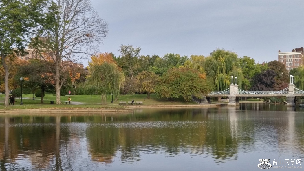 20181023_091133_HDR.jpg