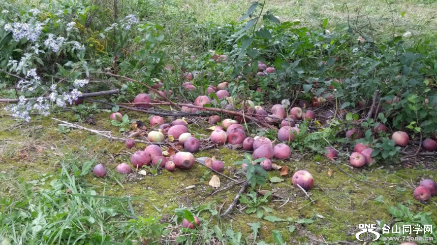 20181007_133238_HDR.jpg